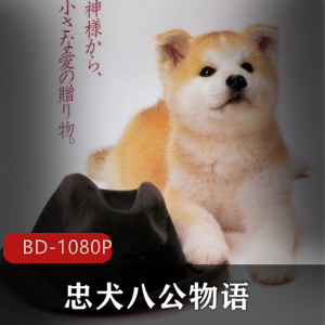 日本电影《忠犬八公物语》经典高清推荐